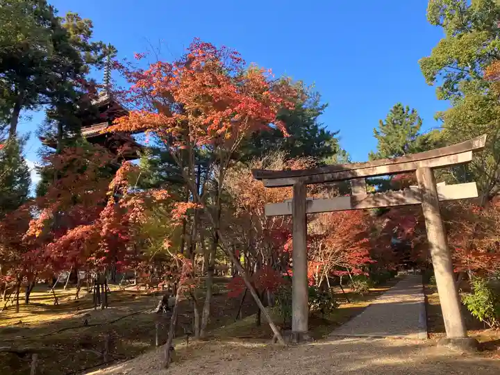 仁和寺(京都府)