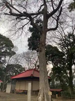 南金目神社(神奈川県)