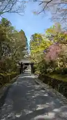 赤山禅院(京都府)