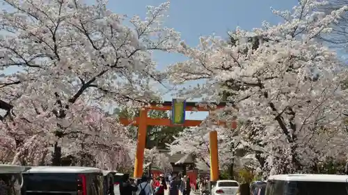 平野神社の鳥居