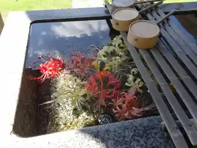 横浜 西方寺の手水舎