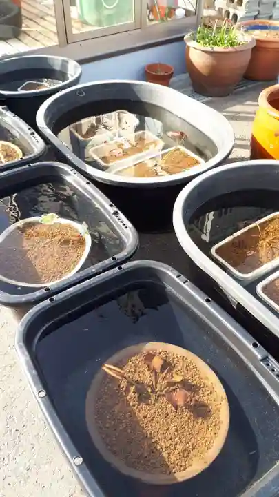 極楽山 浄土寺のその他建物