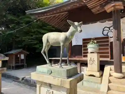 春日神社の{uncategorized: "未分類", other: "その他", undefined: "問題あり", building: "その他建物", grave: "お墓", sacred_gate: "鳥居", guardian: "狛犬", statue: "像", buddha: "仏像", history: "歴史", nature: "自然", garden: "庭園", animal: "動物", pagoda: "塔", temizu: "手水舎", mountain_gate: "山門・神門", sanctuary: "本殿・本堂", subordinate: "末社・摂社", art: "芸術", scenery: "景色", jizo: "地蔵", ema: "絵馬", goshuin: "御朱印", omikuji: "おみくじ", items: "授与品その他", amulet: "お守り", goshuincho: "御朱印帳", eats: "食事", festival: "お祭り", votive_dance: "神楽", shichigosan: "七五三参", wedding: "結婚式", experience: "体験その他", initially: "初詣", around: "周辺", anti_infection: "感染症対策"}