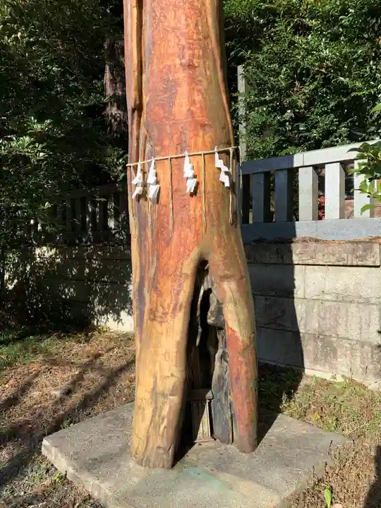 安房神社の自然