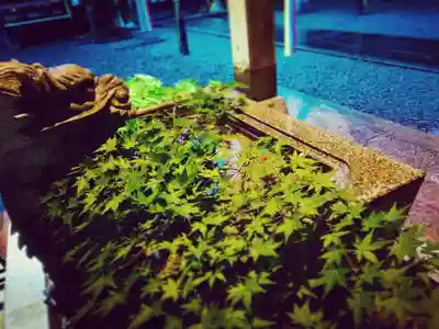 滑川神社 - 仕事と子どもの守り神の手水舎