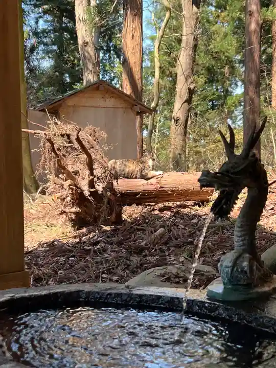 伊佐須美神社(福島県)
