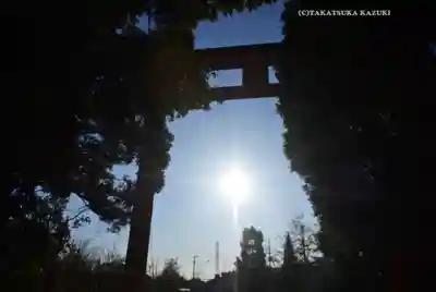 川越氷川神社(埼玉県)
