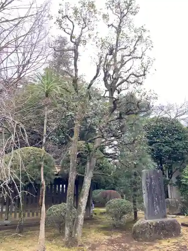 峯ヶ岡八幡神社(埼玉県)