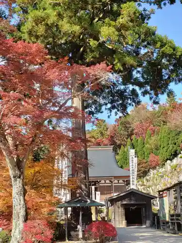 観音正寺の庭園