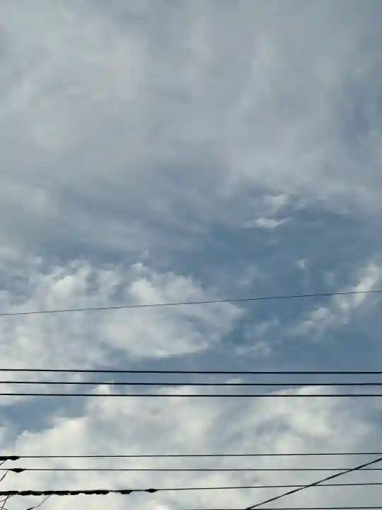 菖蒲神社(埼玉県)