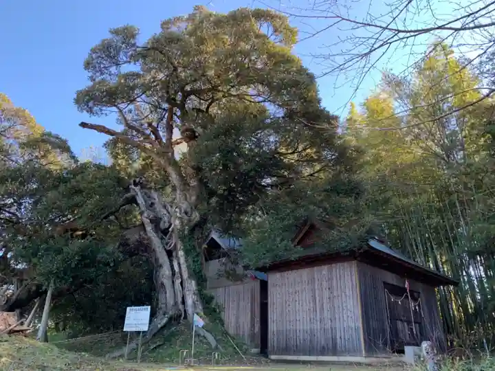 八坂神社(千葉県)