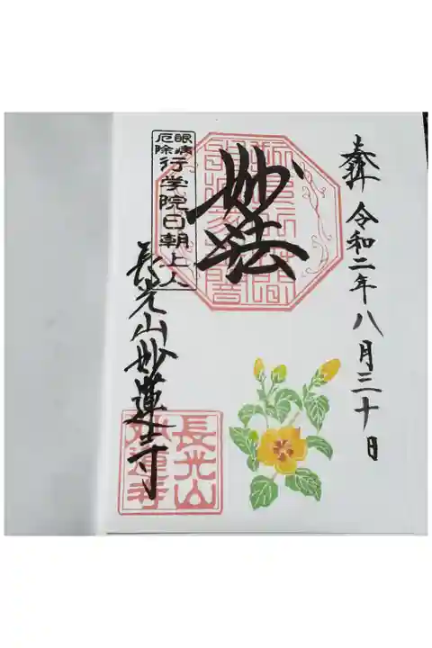 こちらは ハイビスカス