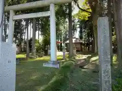 金井神社の鳥居