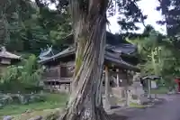 城上神社の自然