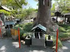 正八幡宮(福岡県)