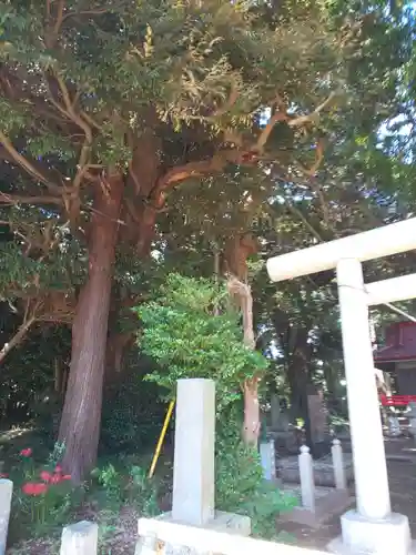 小林鳥見神社のその他建物