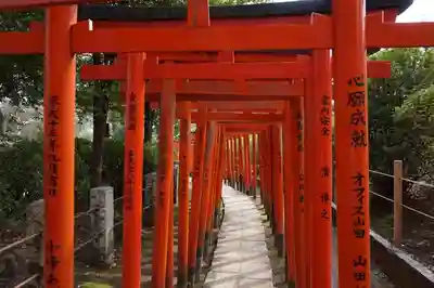 根津神社の鳥居