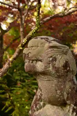 地福寺(高知県)