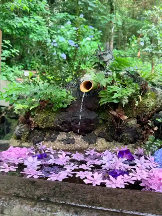 穴澤天神社(東京都)