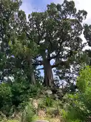 森戸大明神（森戸神社）(神奈川県)