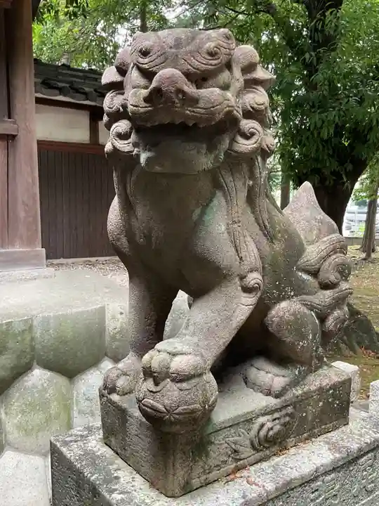 尾張神社(小針)の狛犬