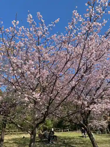 氷川女體神社(埼玉県)