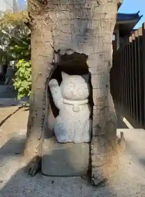 荻窪白山神社(東京都)