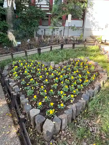 川越八幡宮(埼玉県)