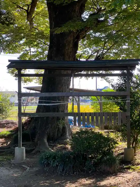 梅宮神社のその他建物