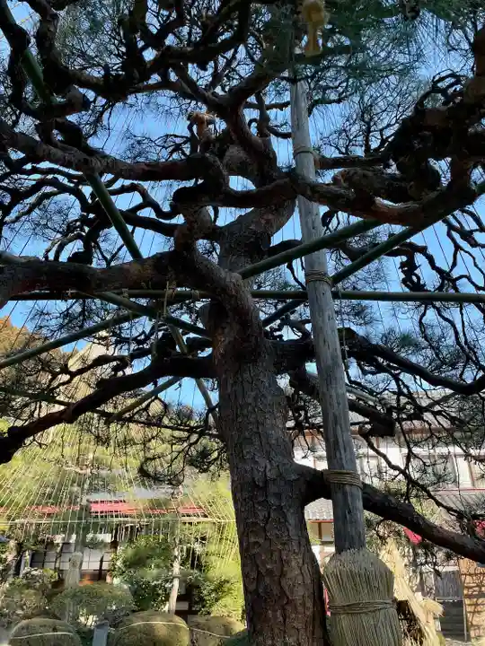 金蛇水神社(宮城県)