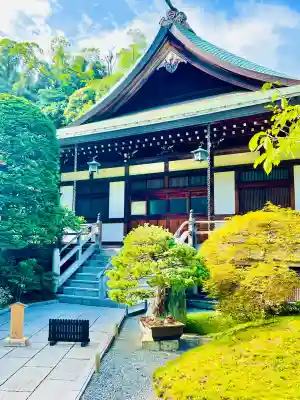 報国寺(神奈川県)