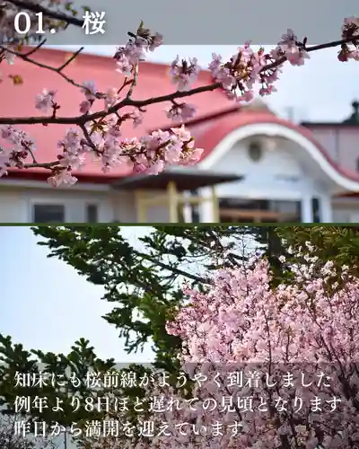 宝光寺(北海道)