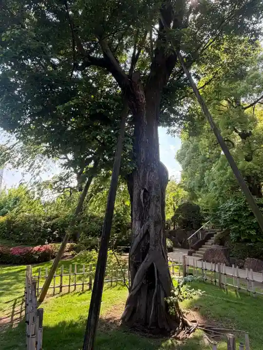 穴八幡宮の{uncategorized: "未分類", other: "その他", undefined: "問題あり", building: "その他建物", grave: "お墓", sacred_gate: "鳥居", guardian: "狛犬", statue: "像", buddha: "仏像", history: "歴史", nature: "自然", garden: "庭園", animal: "動物", pagoda: "塔", temizu: "手水舎", mountain_gate: "山門・神門", sanctuary: "本殿・本堂", subordinate: "末社・摂社", art: "芸術", scenery: "景色", jizo: "地蔵", ema: "絵馬", goshuin: "御朱印", omikuji: "おみくじ", items: "授与品その他", amulet: "お守り", goshuincho: "御朱印帳", eats: "食事", festival: "お祭り", votive_dance: "神楽", shichigosan: "七五三参", wedding: "結婚式", experience: "体験その他", initially: "初詣", around: "周辺", anti_infection: "感染症対策"}