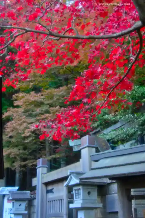 大山阿夫利神社(神奈川県)