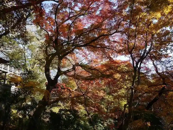 明王院(満願寺別院)の自然