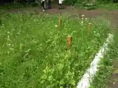 白旗神社(西御門)(神奈川県)