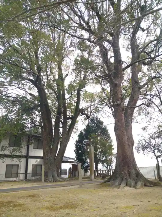 八幡神社里宮の自然