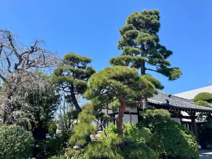 貞源寺の{uncategorized: "未分類", other: "その他", undefined: "問題あり", building: "その他建物", grave: "お墓", sacred_gate: "鳥居", guardian: "狛犬", statue: "像", buddha: "仏像", history: "歴史", nature: "自然", garden: "庭園", animal: "動物", pagoda: "塔", temizu: "手水舎", mountain_gate: "山門・神門", sanctuary: "本殿・本堂", subordinate: "末社・摂社", art: "芸術", scenery: "景色", jizo: "地蔵", ema: "絵馬", goshuin: "御朱印", omikuji: "おみくじ", items: "授与品その他", amulet: "お守り", goshuincho: "御朱印帳", eats: "食事", festival: "お祭り", votive_dance: "神楽", shichigosan: "七五三参", wedding: "結婚式", experience: "体験その他", initially: "初詣", around: "周辺", anti_infection: "感染症対策"}