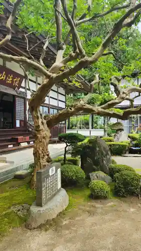 高林寺(福島県)