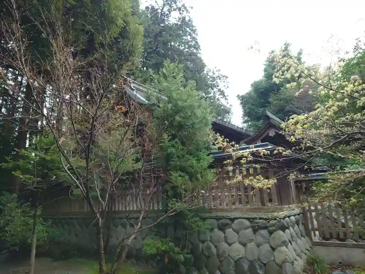 龍尾神社(静岡県)