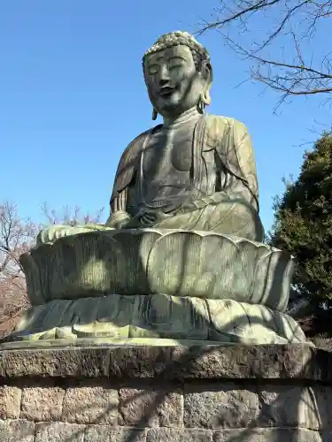 護国寺の{uncategorized: "未分類", other: "その他", undefined: "問題あり", building: "その他建物", grave: "お墓", sacred_gate: "鳥居", guardian: "狛犬", statue: "像", buddha: "仏像", history: "歴史", nature: "自然", garden: "庭園", animal: "動物", pagoda: "塔", temizu: "手水舎", mountain_gate: "山門・神門", sanctuary: "本殿・本堂", subordinate: "末社・摂社", art: "芸術", scenery: "景色", jizo: "地蔵", ema: "絵馬", goshuin: "御朱印", omikuji: "おみくじ", items: "授与品その他", amulet: "お守り", goshuincho: "御朱印帳", eats: "食事", festival: "お祭り", votive_dance: "神楽", shichigosan: "七五三参", wedding: "結婚式", experience: "体験その他", initially: "初詣", around: "周辺", anti_infection: "感染症対策"}