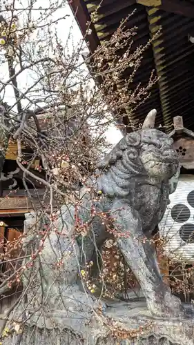 北野天満宮(京都府)