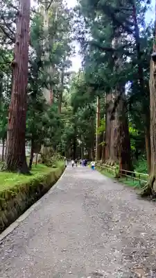 中尊寺(岩手県)