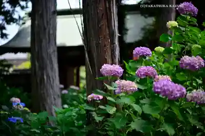 仙波東照宮(埼玉県)