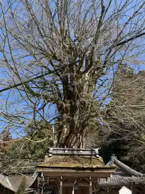 正法寺(滋賀県)