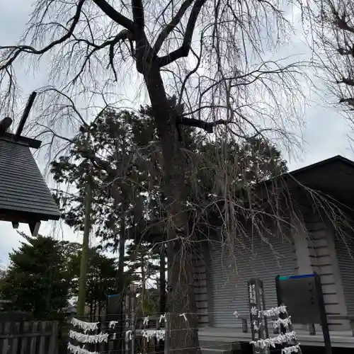 開成山大神宮(福島県)
