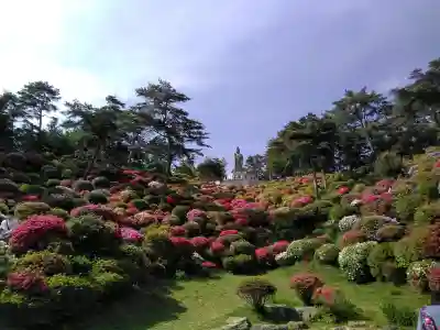 塩船観音寺の{uncategorized: "未分類", other: "その他", undefined: "問題あり", building: "その他建物", grave: "お墓", sacred_gate: "鳥居", guardian: "狛犬", statue: "像", buddha: "仏像", history: "歴史", nature: "自然", garden: "庭園", animal: "動物", pagoda: "塔", temizu: "手水舎", mountain_gate: "山門・神門", sanctuary: "本殿・本堂", subordinate: "末社・摂社", art: "芸術", scenery: "景色", jizo: "地蔵", ema: "絵馬", goshuin: "御朱印", omikuji: "おみくじ", items: "授与品その他", amulet: "お守り", goshuincho: "御朱印帳", eats: "食事", festival: "お祭り", votive_dance: "神楽", shichigosan: "七五三参", wedding: "結婚式", experience: "体験その他", initially: "初詣", around: "周辺", anti_infection: "感染症対策"}