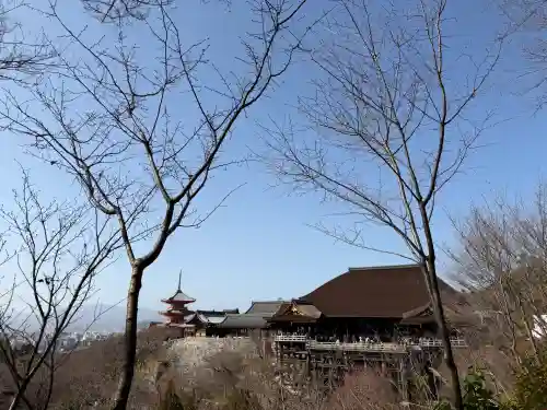 清水寺の{uncategorized: "未分類", other: "その他", undefined: "問題あり", building: "その他建物", grave: "お墓", sacred_gate: "鳥居", guardian: "狛犬", statue: "像", buddha: "仏像", history: "歴史", nature: "自然", garden: "庭園", animal: "動物", pagoda: "塔", temizu: "手水舎", mountain_gate: "山門・神門", sanctuary: "本殿・本堂", subordinate: "末社・摂社", art: "芸術", scenery: "景色", jizo: "地蔵", ema: "絵馬", goshuin: "御朱印", omikuji: "おみくじ", items: "授与品その他", amulet: "お守り", goshuincho: "御朱印帳", eats: "食事", festival: "お祭り", votive_dance: "神楽", shichigosan: "七五三参", wedding: "結婚式", experience: "体験その他", initially: "初詣", around: "周辺", anti_infection: "感染症対策"}