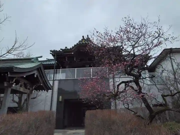 法性寺(神奈川県)
