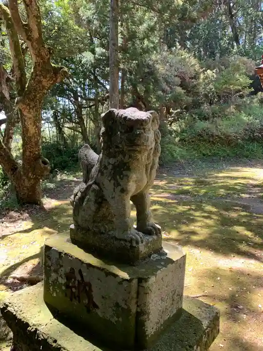 八雲神社の狛犬